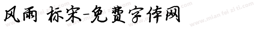 风雨 标宋字体转换